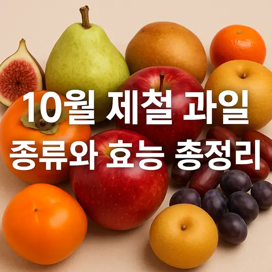 10월 제철 과일
