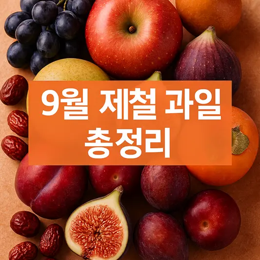9월 제철 과일