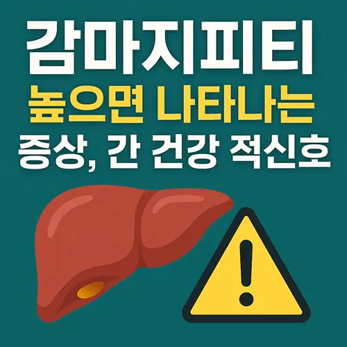 감마지피티(GGT) 높으면 나타나는 증상