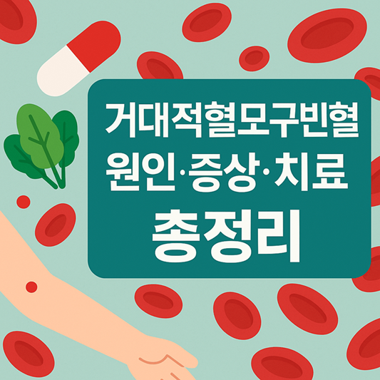 거대적혈모구빈혈 원인, 증상, 치료