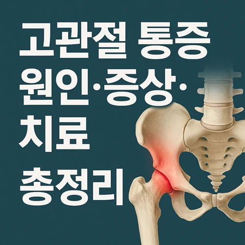 고관절 통증의 원인·증상·치료
