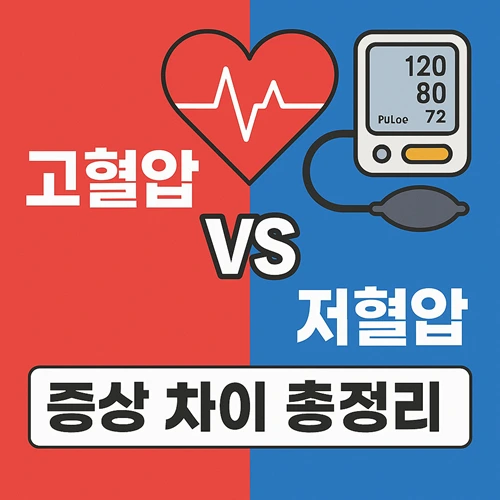 고혈압 vs 저혈압, 증상과 대처법 차이