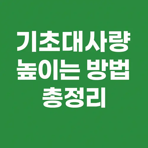 기초대사량 높이는 방법