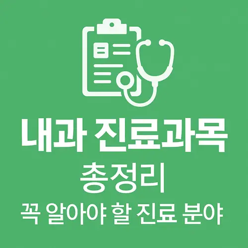내과 진료과목