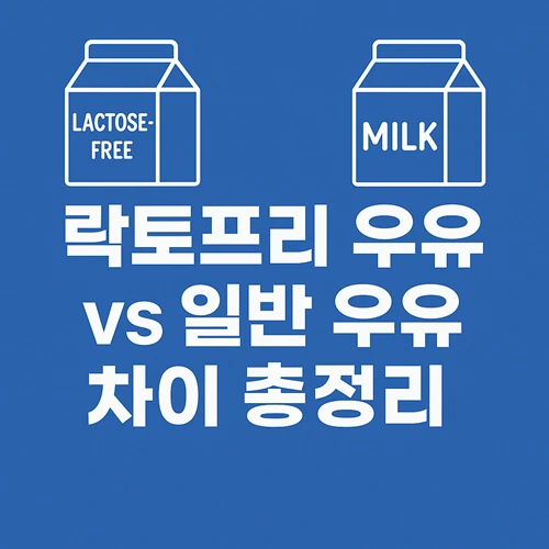 락토프리 우유 vs 일반 우유 차이