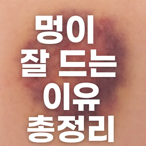 멍이 잘 드는 이유