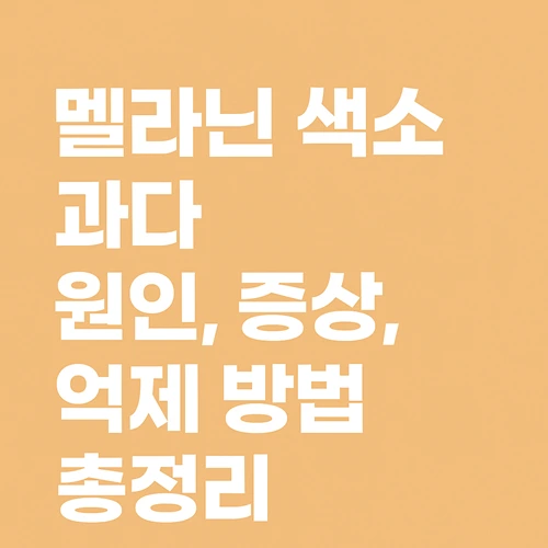 멜라닌 색소 과다 원인·증상·억제 방법