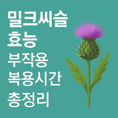 밀크씨슬 효능 부작용 복용시간