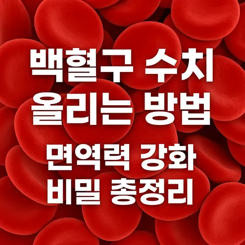 백혈구 수치 올리는 방법 8가지