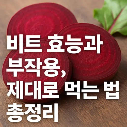 비트 효능과 부작용