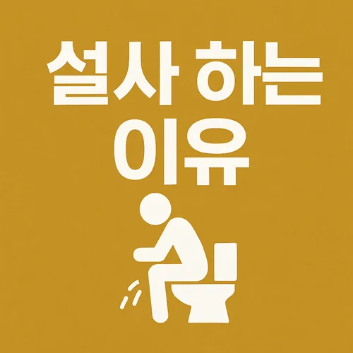 설사 하는 이유
