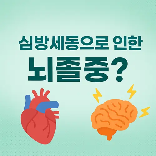 심방세동으로 인한 뇌졸중