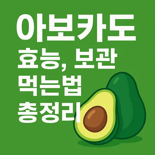 아보카도 효능