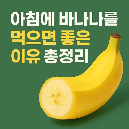 아침에 바나나를 먹으면 좋은 이유