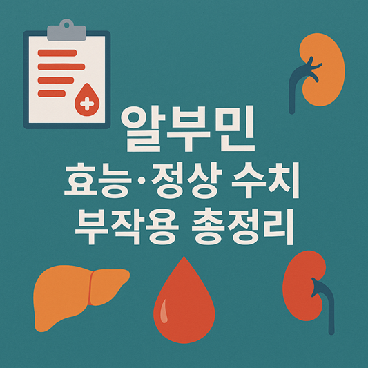 알부민 효능, 정상 수치, 부작용