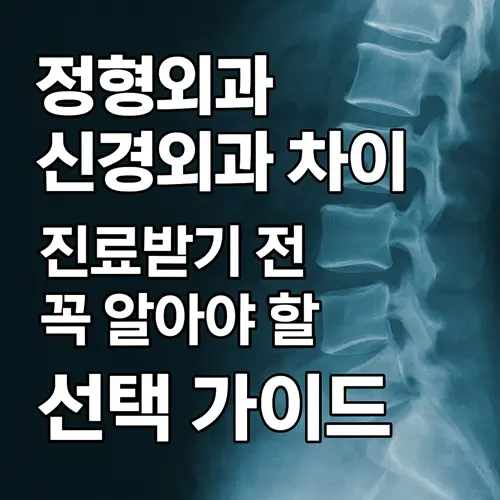 정형외과 신경외과 차이