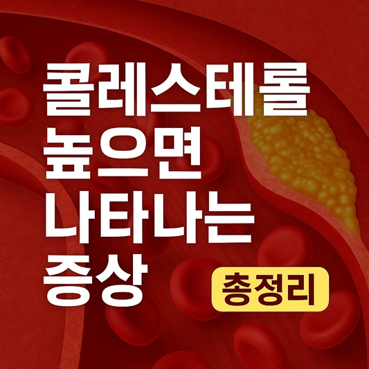 콜레스테롤 높으면 나타나는 증상