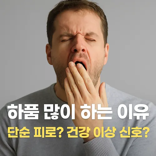 하품 많이 하는 이유