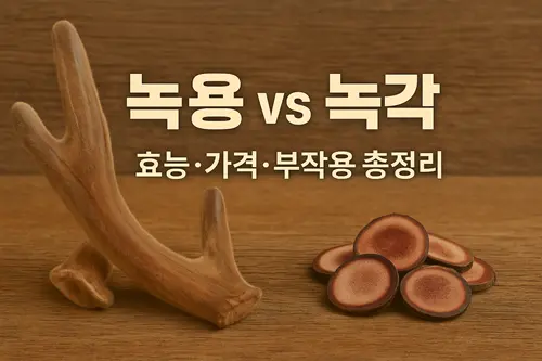 녹용 vs 녹각 차이