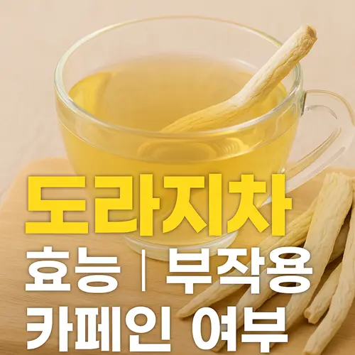 도라지차 효능·부작용·카페인