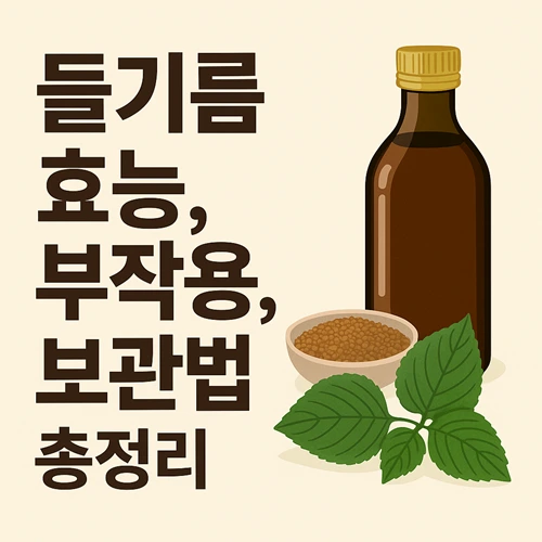 들기름 효능, 부작용, 보관방법