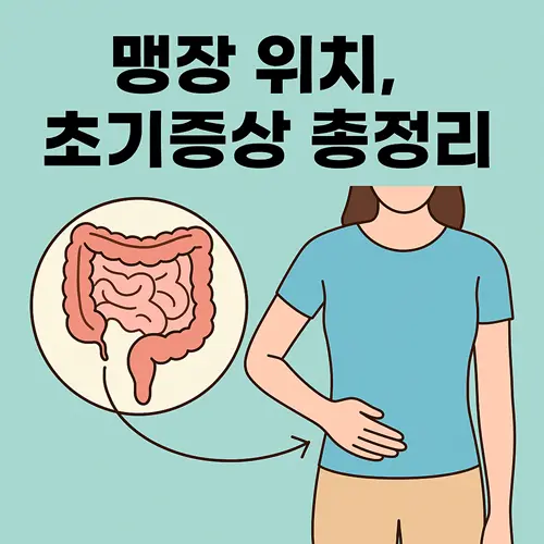 맹장 위치 확인 및 초기증상