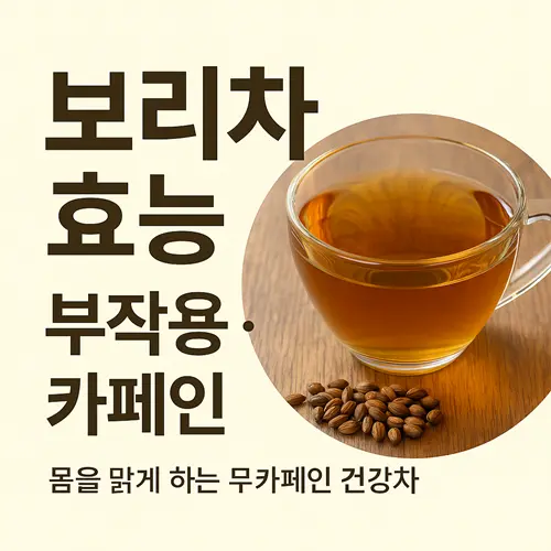 보리차 효능·부작용·카페인