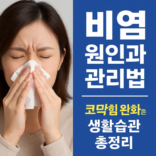 비염 원인과 관리법