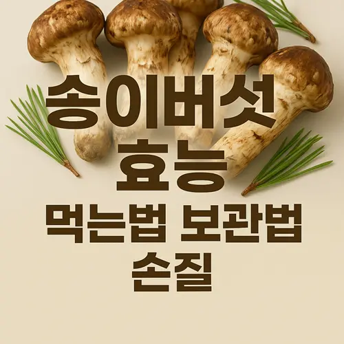 송이버섯 효능, 먹는법, 보관법, 손질