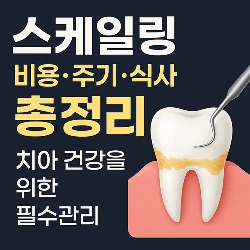 스케일링 비용·주기·식사