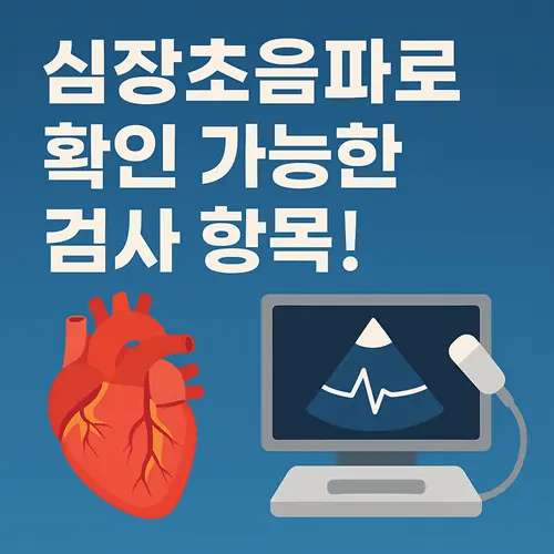 심장초음파로 확인 가능한 검사 항목 총정리