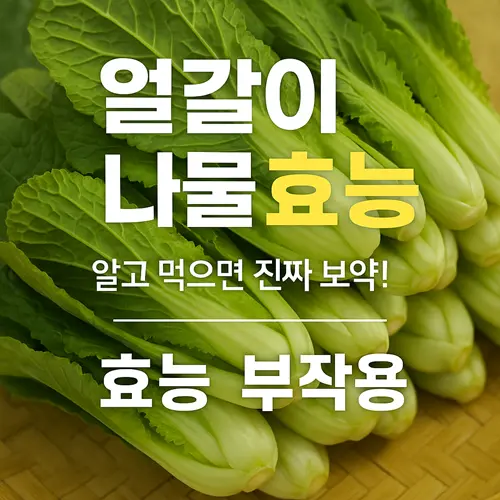 얼갈이 나물 효능·부작용