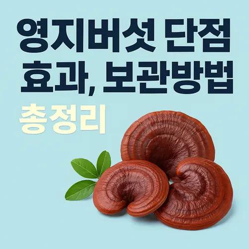 영지버섯 단점, 효과, 보관방법