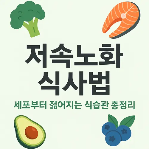 저속노화 식사법