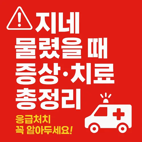 지네 물렸을 때 증상과 대처법