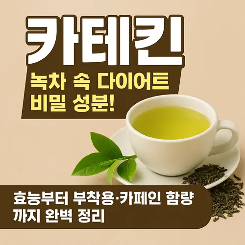 카테킨 효능·부작용·카페인·다이어트 완벽정리