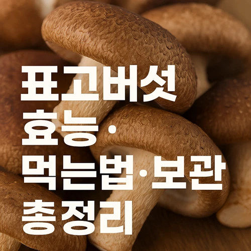 표고버섯 효능, 먹는법, 보관법
