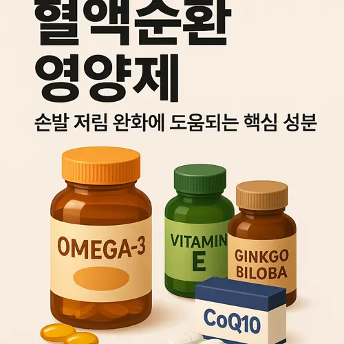 혈액순환 영양제 추천