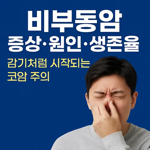 비부동암 증상·원인·생존율 완벽정리