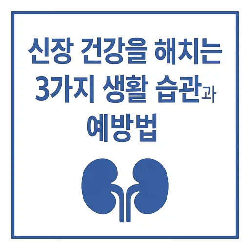 신장 건강을 해치는 3가지 생활 습관과 예방법