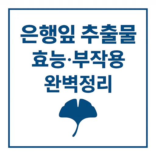 은행잎 추출물 효능·부작용 완벽정리