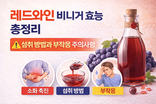 레드와인 비니거 효능 총정리｜섭취 방법과 부작용 주의사항