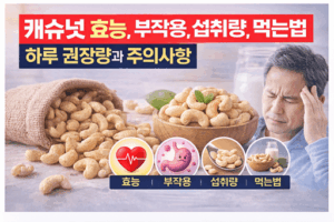 캐슈넛 효능, 부작용, 섭취량, 먹는법 총정리｜하루 권장량과 주의사항