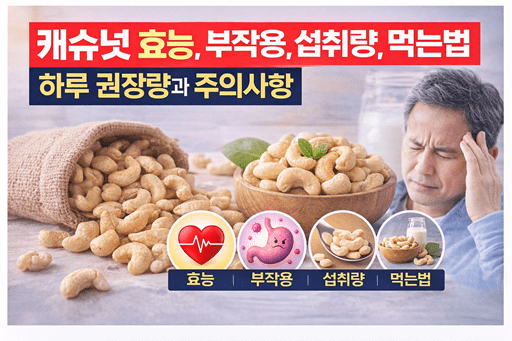 캐슈넛 효능, 부작용, 섭취량, 먹는법 총정리｜하루 권장량과 주의사항
